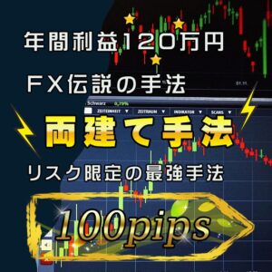 伝説の両建て手法 FXのリスクを抑えた投資法 1回数十pipsの利益を獲るトレード手法　伝説のトレーダー※インジケータ使用不可